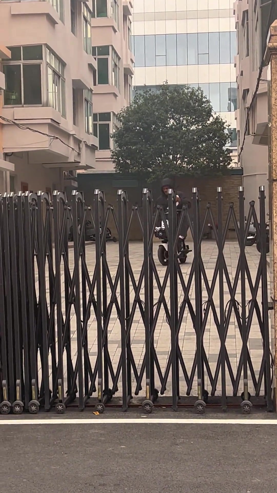 小貝貝這車技不咋滴！