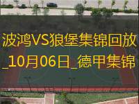 德甲-蒂亞戈-托馬斯破門溫德梅開二度狼堡客場3-1波鴻