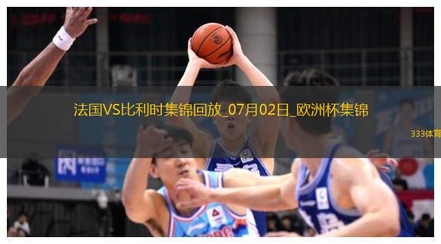 07月02日歐洲杯1/8決賽法國vs比利時(shí)精彩片段