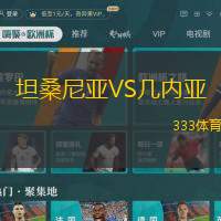 坦桑尼亞VS幾內(nèi)亞