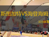 斯圖加特VS海登海姆