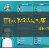 布拉加VS法馬利康