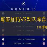 斯圖加特VS勒沃庫森